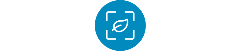 <h5>Sustainable focus list</h5>