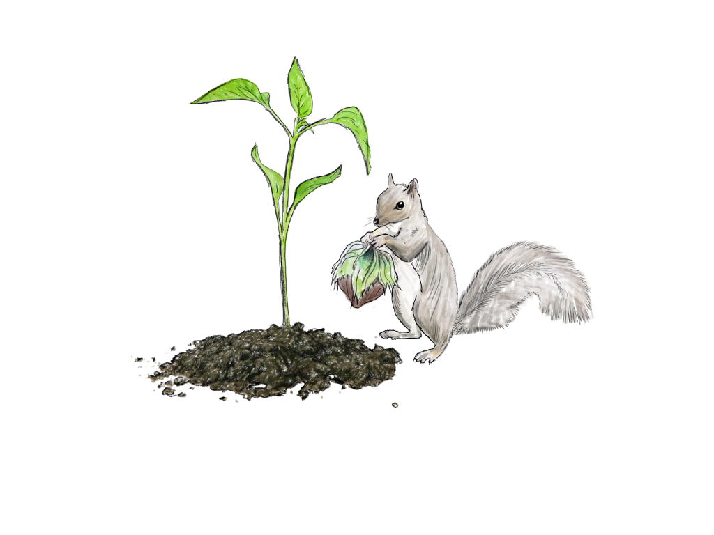 Sustainable investment